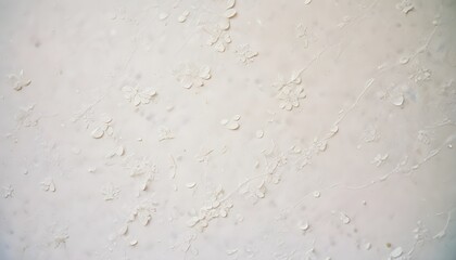 Clear Plain Shiny Soft Vintage Bokeh Cloudy Wave Like Geometric White Background or Texture