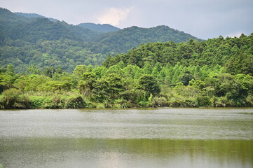 A corner of Shuanglian Pi in Yuanshan Township, Yilan, highlighting its historic natural lake and a 4-hectare floating island.