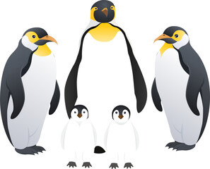 penguin north pole illustration design