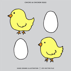 Hand Drawn chicks and chicken eggs Illustration