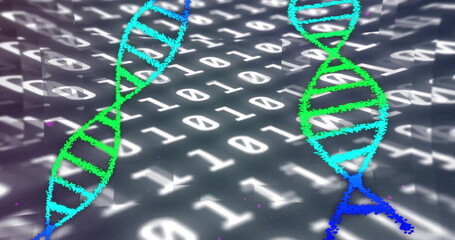 Image of dna strands over data processing on black background