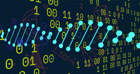 Image of dna strands over data processing and mathematical equations on black background