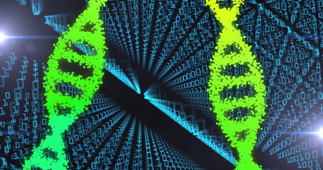 Image of dna strands over data processing on black background