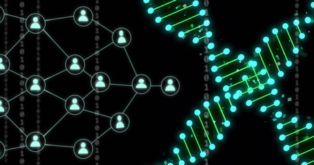 Image of dna strands and newtork of connections over data processing on black background