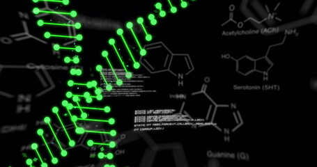 Image of dna strands over data processing and chemical formula on black background