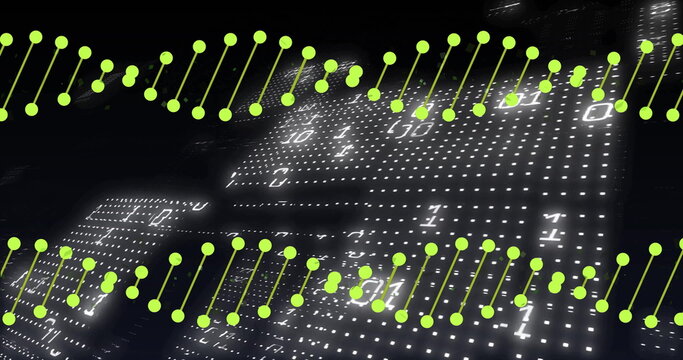 Image of dna strands over data processing on black background