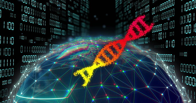 Image of dna strands over globe of connections and data processing on black background