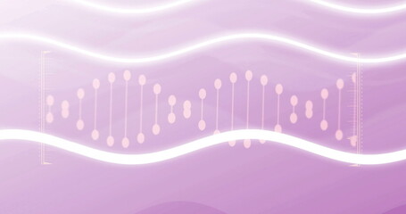 Image of dna strand over white waves on pink background
