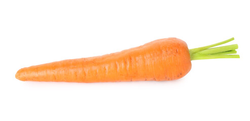 One fresh ripe carrot isolated on white, top view