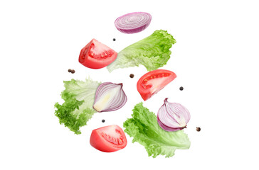 Cut tomatoes, onion, lettuce and allspice in air on white background