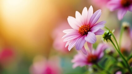 Fototapeta premium Blooming with Joy A Blossoming Flower in Focus