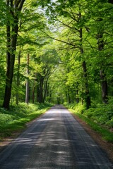 Naklejka premium A road leading to the horizon, at the end of it is a green forest at daytime. 