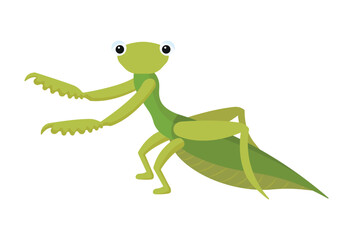 Vector illustration of a praying mantis. Children's insect character.
