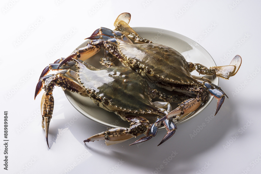 Canvas Prints Close up of two raw blue crabs on white dish anf floor, South Korea
