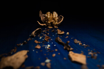 Comida. Nuez Chandler al descubierto de su cascara rota detrás de un rastro de cascaras rotas. Horizontal.