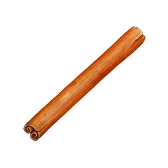 Dry cinnamon stick watercolor illustration. Nature raw organic spice from a tree bark. Hand drawn cinnamon using in medicine, food and aromatherapy element. Isolated on white background