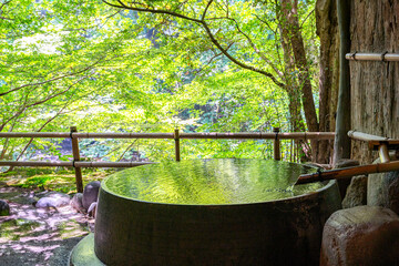 新緑の露天風呂