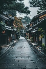 Naklejka premium An empty street in the center of the frame, surrounded by traditional japanese houses