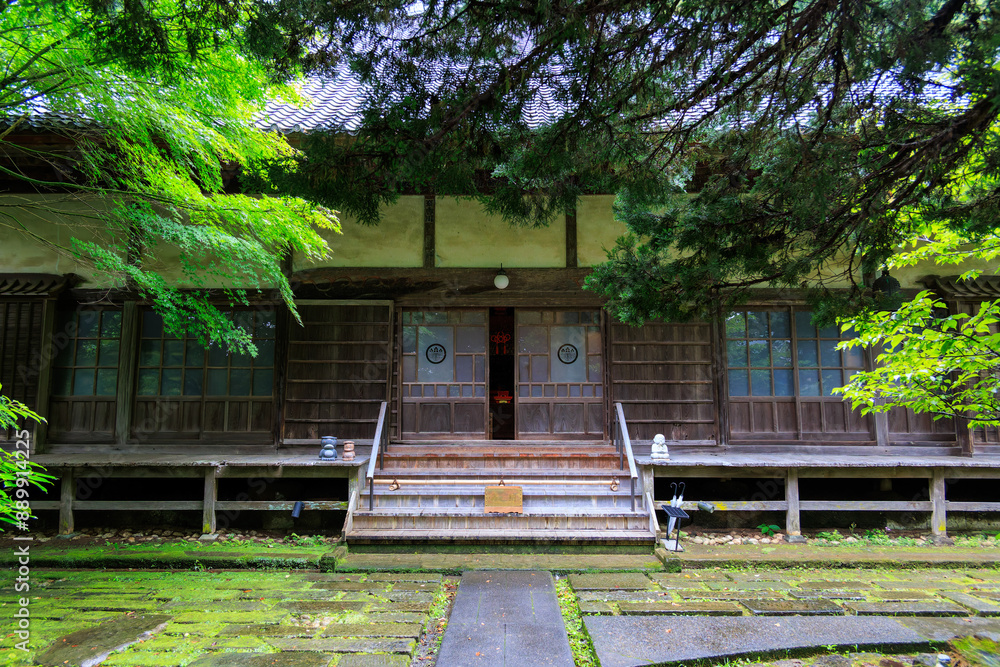 Wall mural 河童のお寺としての由来がある栖足寺（せいそくじ）。
700年の歴史がある。
苔むした境内は趣がある。
初夏には紫陽花を利用した花手水が人気。
市民に広く親しまれていて、拝観料等は必要なく、無料で観覧できる。

日本国静岡県伊豆半島賀茂郡河津町-2024年7月
