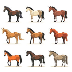 Icons Set of Different Horse Breeds on White Background