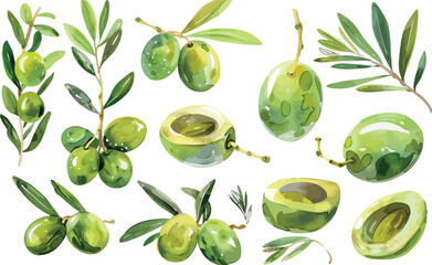 Seamless Pattern of Fresh Green Olives and Leaves on White Background, Hand-Drawn Watercolor Illustration