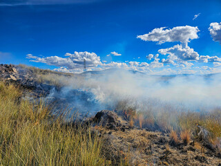 Natural grass forest fire on a sunny day.
