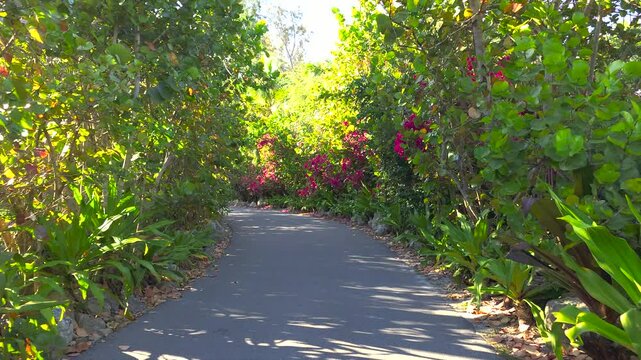 Driving on Florida scenic road. Car point of view of Casey Key coastal neighborhood with tropical nature and southern architecture.