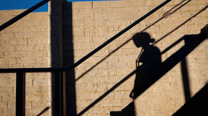 silhouette of person climbing steps
