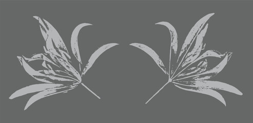 Gray and white leaf print stamp of botanical illustration. Plain leaf sketched art background.