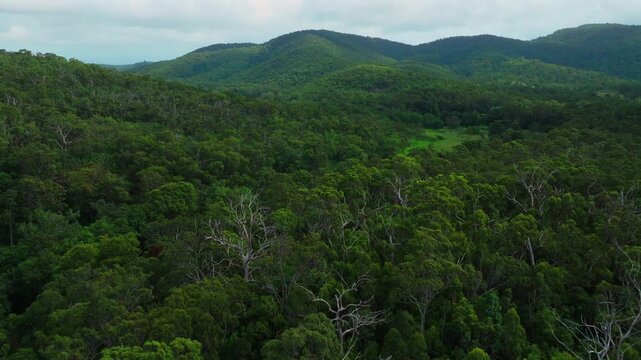 Cedar Creek Falls Reserve aerial drone Australia outback Aussie green forest Whitsundays Airlie Beach Proserpine Palm Grove QLD Queensland spring summer autumn winter sunny cloudy forward motion