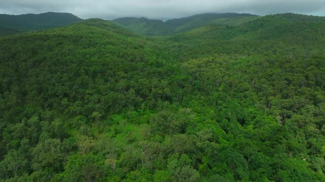 Cedar Creek Falls Reserve aerial drone Australia outback Aussie forest Whitsundays Airlie Beach Proserpine Palm Grove QLD Queensland farmland spring summer autumn winter sunny cloudy forward pan up