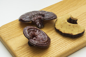 Close up of three dried raw brown Reishi mushroom on wooden cutting board and white floor, South Korea
