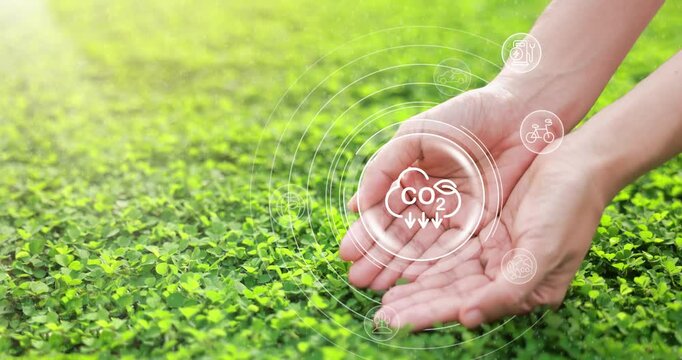 Woman hand on grass with a CO2 icon slowly showing up and Renewable energy icons from sun, tides, and wind rotating around. reduce carbon emissions to limit global warming and climate change. 4k VDO.
