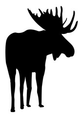 Moose | Camping Life | Moose Antlers | Wild Life | Moose Head | Forest Mountain | Hunter Dad | Peeking Moose | Original Illustration | Vector and Clipart | Cutfile and Stencil