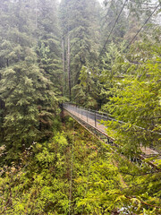 bridge in the mountains