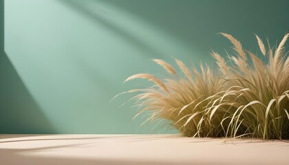 Pampas grass illuminated by natural sunlight against a minimalist green and beige background, creating a serene and natural ambiance.