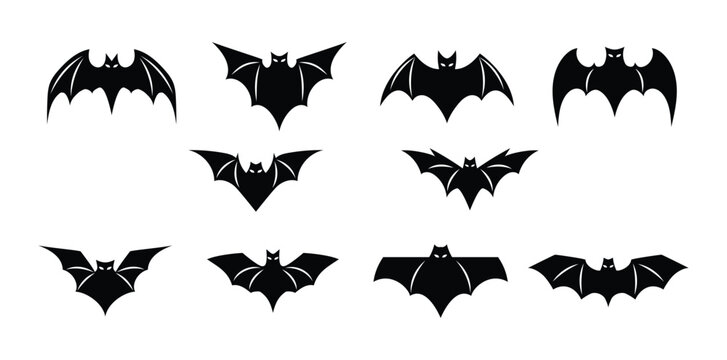 Bat Shape
