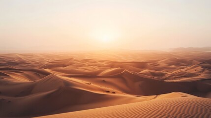 A vast desert landscape with rolling sand dunes and a bright, clear sky, showcasing nature's raw beauty