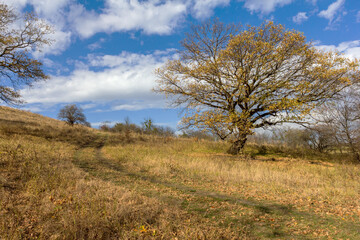 the beginning of autumn, walks in the highlands, panoramic views and the seasonal state in nature and the colors of autumn