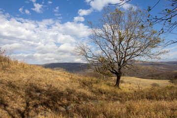 the beginning of autumn, walks in the highlands, panoramic views and the seasonal state in nature and the colors of autumn