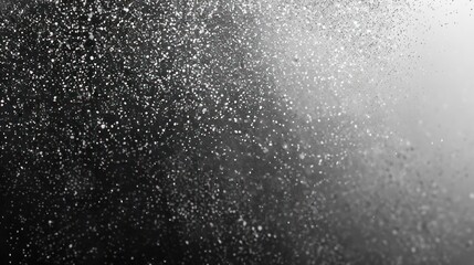 Abstract Black and White Glitter Background