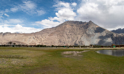 the river with blue sky and sandstone mountains in nubra valley, leh ladakh, india