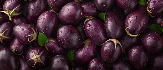 Fototapeta premium View of a bunch of fresh raw Eggplant vegetables with neatly stacked leaves arranged from above on a wide flat textured background pattern