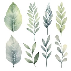 A set of watercolor leaves with varying sizes and shapes