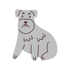 Schnauzer dog vector illustration. Cute cartoon pet with a beard and eyebrows, perfect for animal lovers, pet shops, and veterinarians. Adorable and expressive flat design, purebred terrier