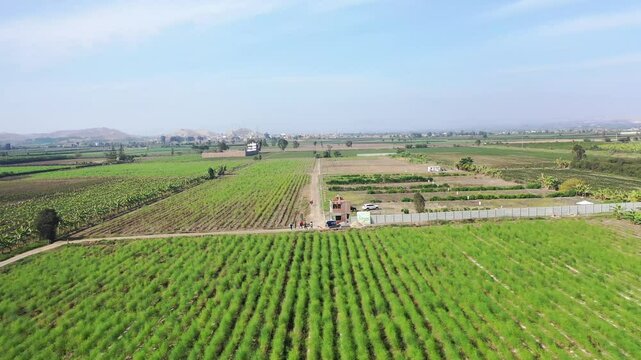 Campo verde, tomas a&eacute;reas de campo