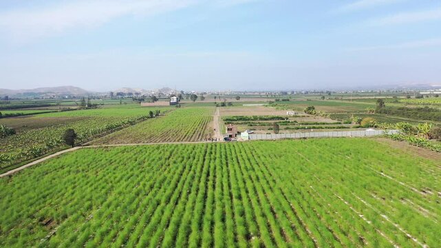 Campo verde, tomas a&eacute;reas de campo