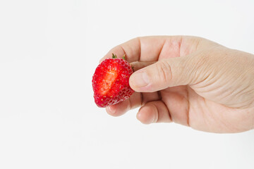 Holding strawberries with one hand on white background