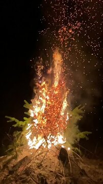 christmas tree on fire: slow motion vertical video, 2024