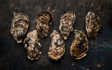 Fresh unopened oysters on old textured background, top view 
